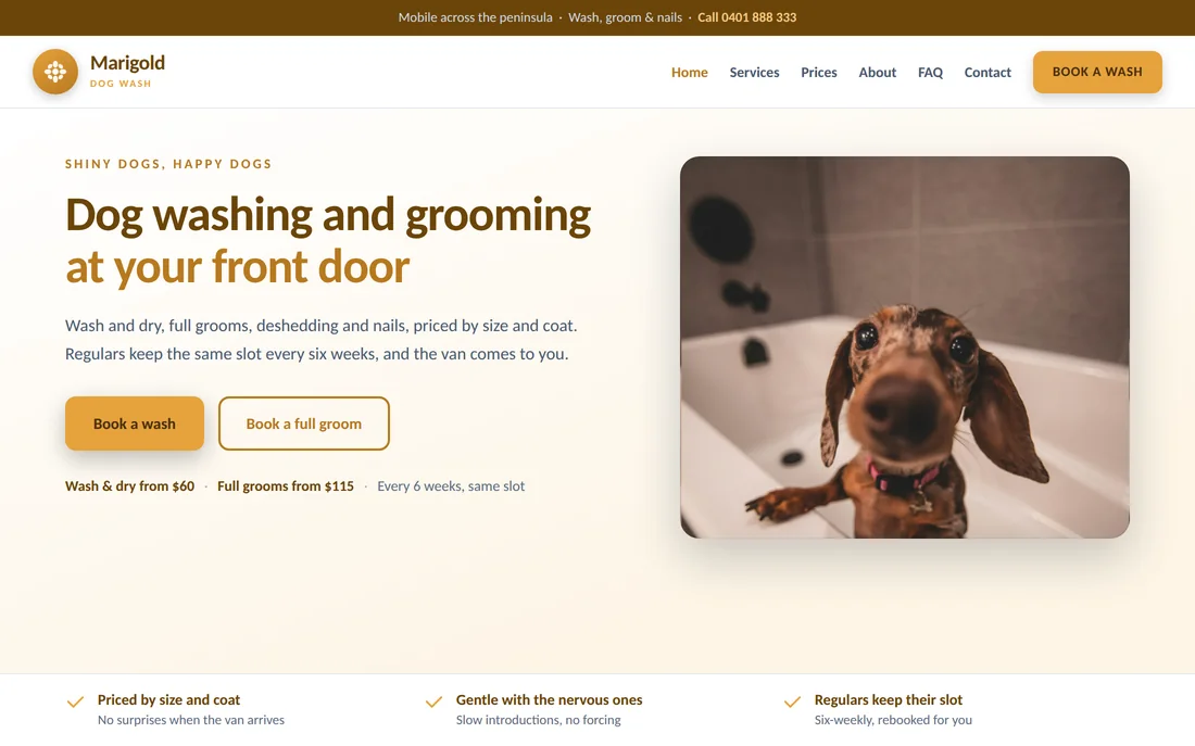 Sample dog grooming business website